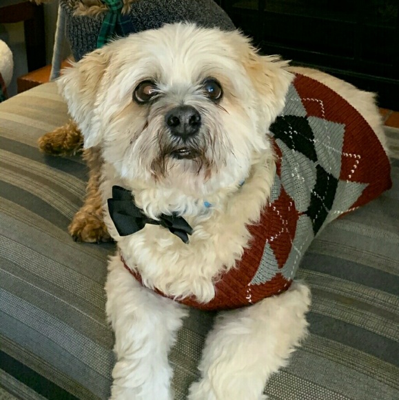 Meet your Posher, Shirley - Picture 1 of 1